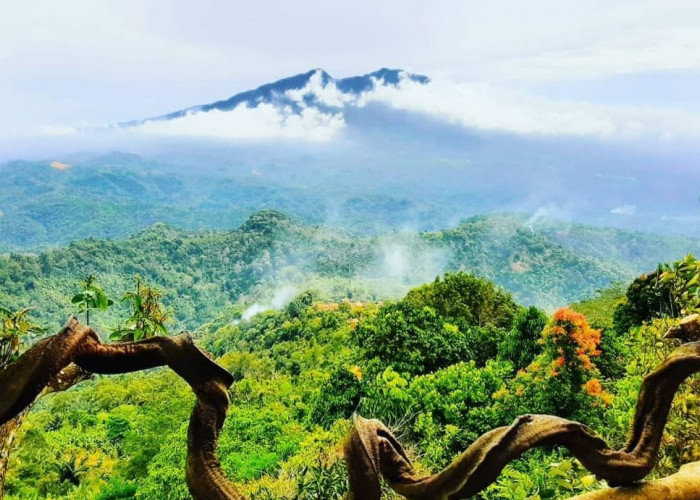 Lokasi Camping Bukit Kendeng, Cocok Untuk Isi Liburan Akhir Tahun 