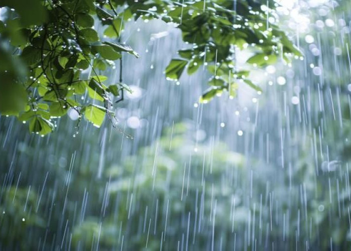 Cuaca Ekstream Di Lampung, Ini Hal Yang Perlu Diwaspadai Warga