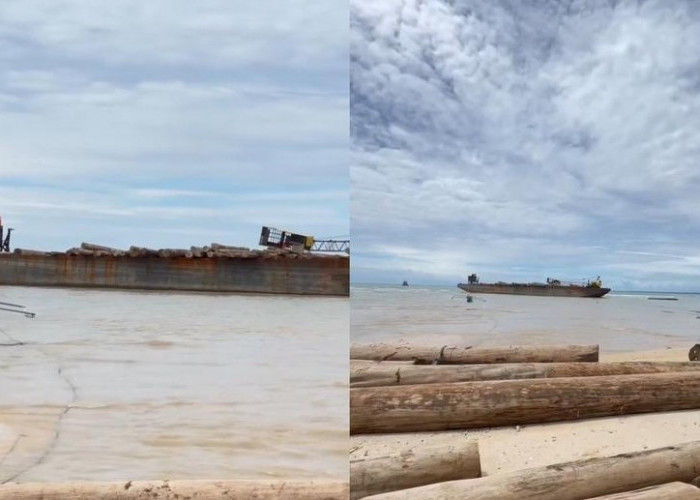 Tongkang Bermuatan 4.800 Kubik Kayu Asal Sumbar Terdampar di Pesisir Barat, Kayu Rusak Perahu Nelayan