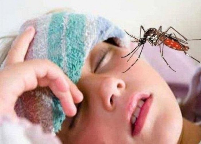 Jaga Kesehatan! Musim Hujan Rawan Penyakit Hingga DBD