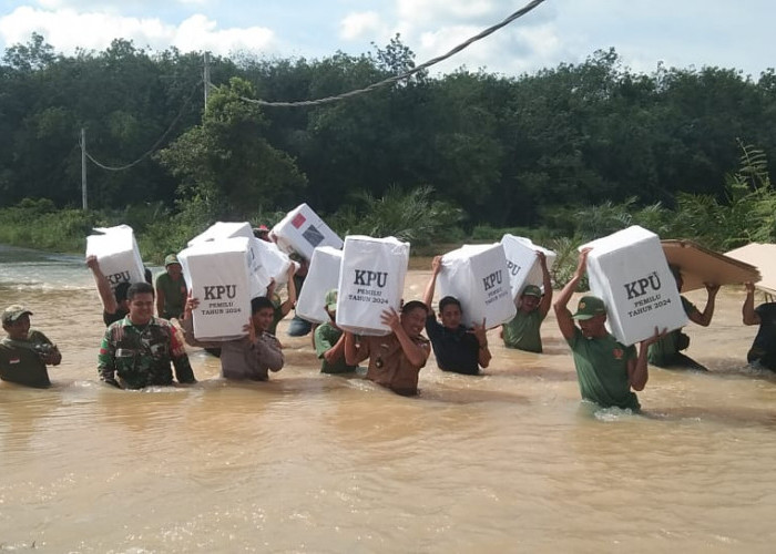 Suka Duka Pengiriman Logistik Pemilu di Lampung : Terobos Banjir, Gunakan Gerbobak Sapi, dan Motor Trail
