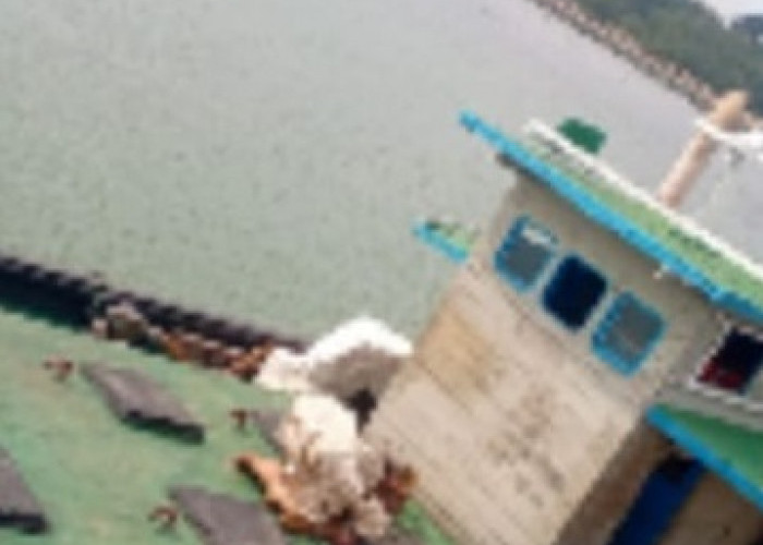 Lantamal IV Amankan KM Meneer, Diduga Bawa 20 Ton BBM Jenis Solar Ilegal