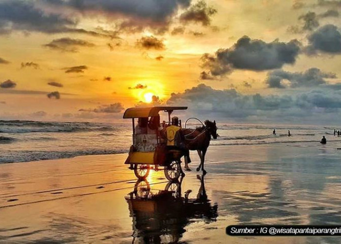 Pantai Parangtritis: Pesona Alam, Legenda Mistis, dan Daya Tarik Wisata yang Tak Pernah Lekang di Yogyakarta