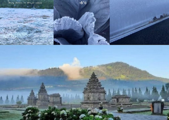 Embun Upas Kembali Hiasi Dieng, Wisatawan Antusias Menyaksikan Fenomena Alam Langka