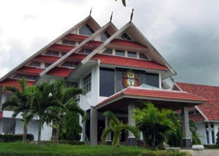 Hilang Sejak 2024, Paramita Ditemukan Tinggal Tulang di Jurang Morowali