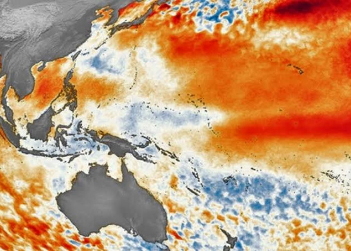 El Nino Kuat Diprediksi Bersamaan dengan IOD Positif, Waspadai Dampaknya
