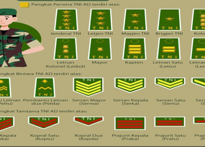Urutan Pangkat di Angkatan Bersenjata Indonesia : Jenderal hingga Tamtama di TNI Angkatan Darat.