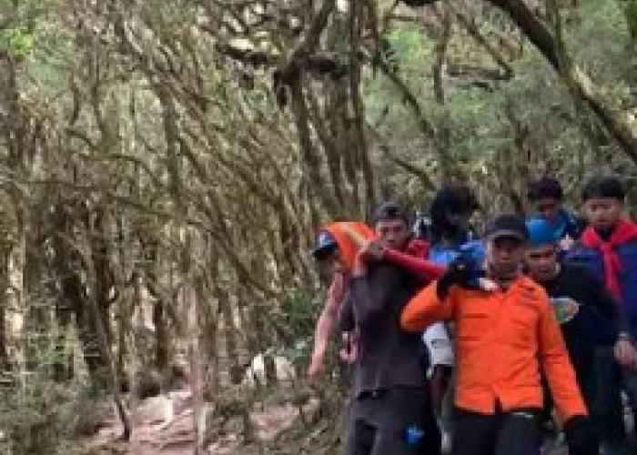 31 Pendaki Gunung Bawakaraeng Alami Gangguan Kesehatan, Satu Masih Dievakuasi