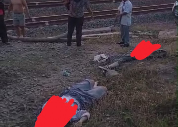 Mobil Pelajar di Negara Ratu Lampung Utara Ditabrak Babaranjang, Dua Meninggal Satu Luka-luka