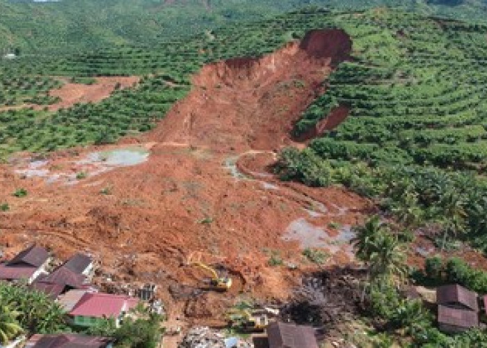 Longsor di Arjasari Timbun Lima Rumah, Tiga Warga Belum Ditemukan dan Upaya Evakuasi Terus Dikebut
