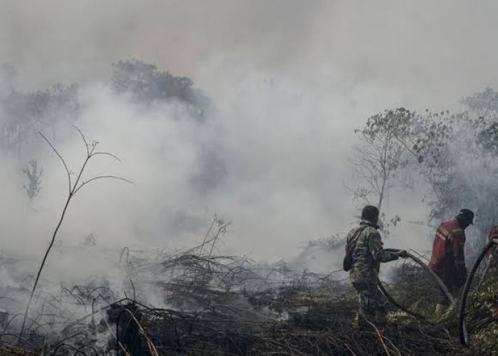 Karhutla Makin Parah, DPR Desak Pemerintah Tetapkan Status Bencana Nasional