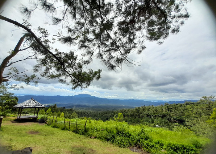 Pentingnya Self Healing untuk Kesehatan Mental