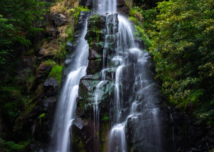 Pengunjung Hilang Saat Berwisata di Air Terjun Sembilan Putri, Damkar Lampung Selatan Turun Tangan