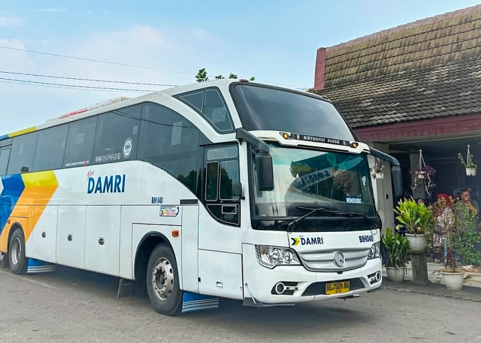 Survei DAMRI Dimulai, Suara Masyarakat Jadi Kunci Pengembangan Rute Baru di Lampung Selatan