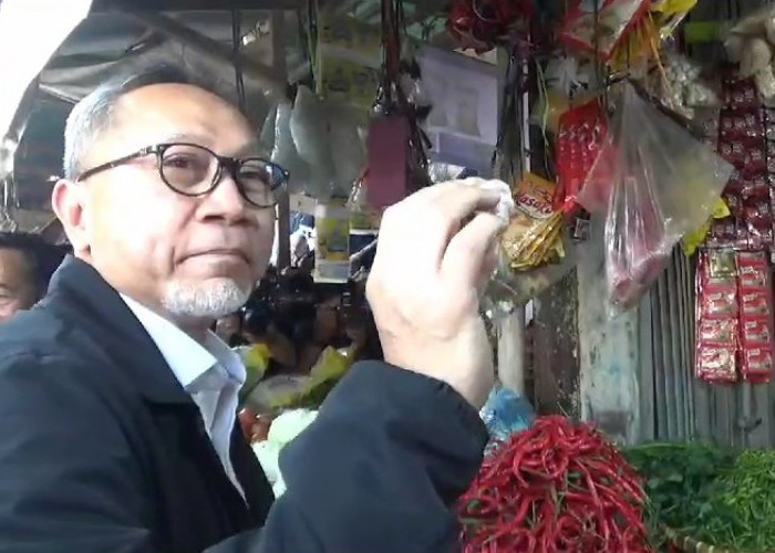 Mendag Zulhas Tinjau Pasar Kangkung, Harga Beras di Lampung Tidak Naik Tapi Tinggi