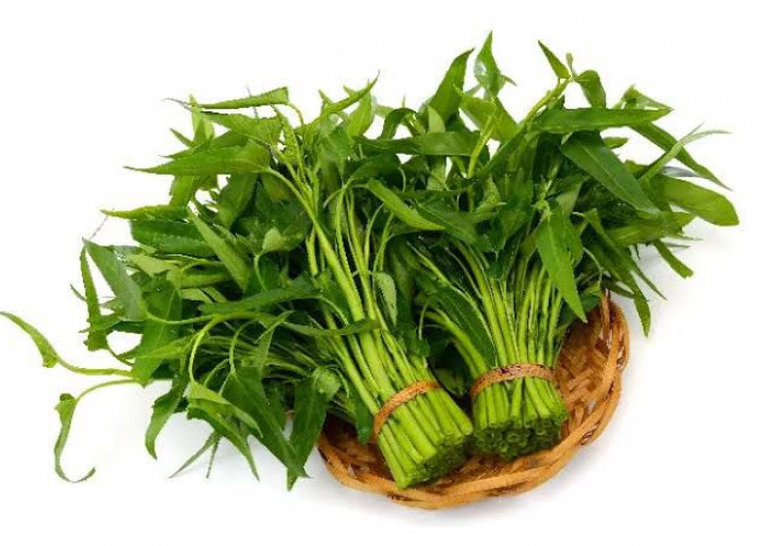 Konsumsi Kangkung: Kaya Nutrisi dan Ramah Kantong, tapi Perlu Bijak