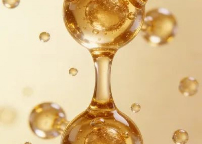 Mengenal Manfaat Kolagen Bagi Tubuh Serta Makanan Yang Mengandung Kolagen Alami