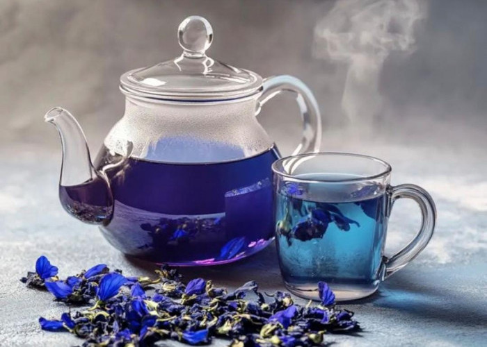 Teh Bunga Telang: Minuman Segar Kekinian yang Memiliki Segudang Manfaat  