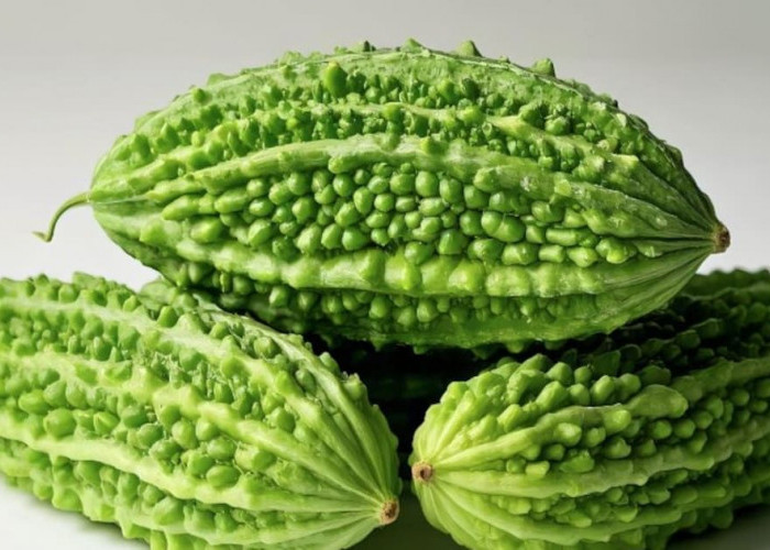 Baru Tahu! Ternyata ini Manfaat Sayur Pare yang Banyak TIdak Digemari oleh Masyarakat