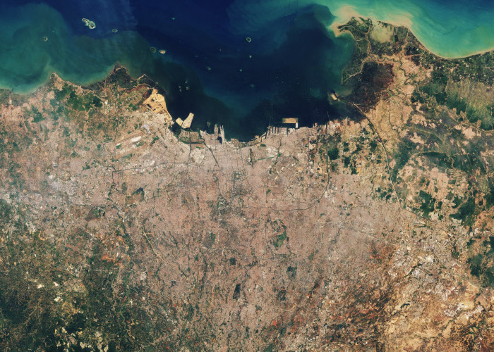 BRIN Sebut Sejumlah Wilayah Pantura Tenggelam hingga 10 cm per Tahun 