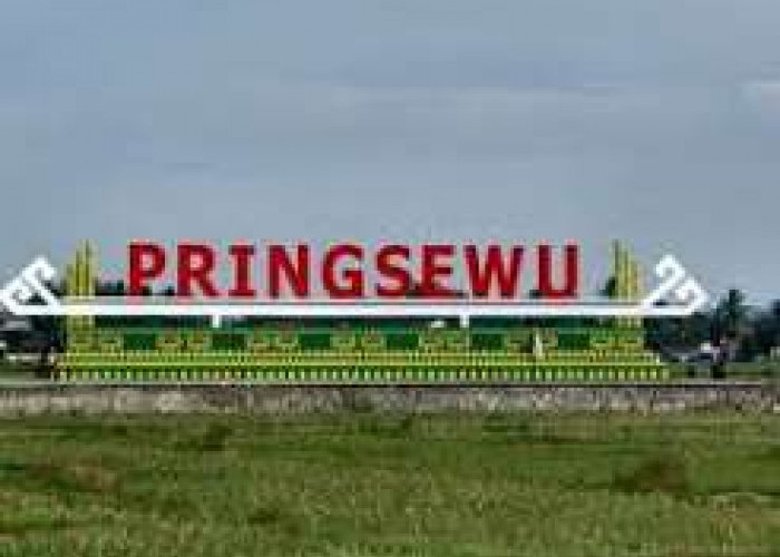 5 Kuliner yang Wajib Kalian Kunjungi Jika ke Pringsewu, No 3 Menggugah Selera