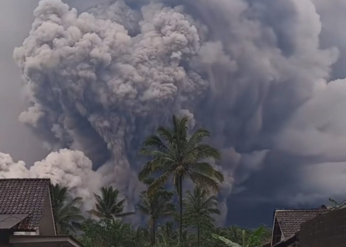 Gunung Semeru Naik ke Level IV Awas Setelah Erupsi Besar, Warga Diminta Segera Evakuasi