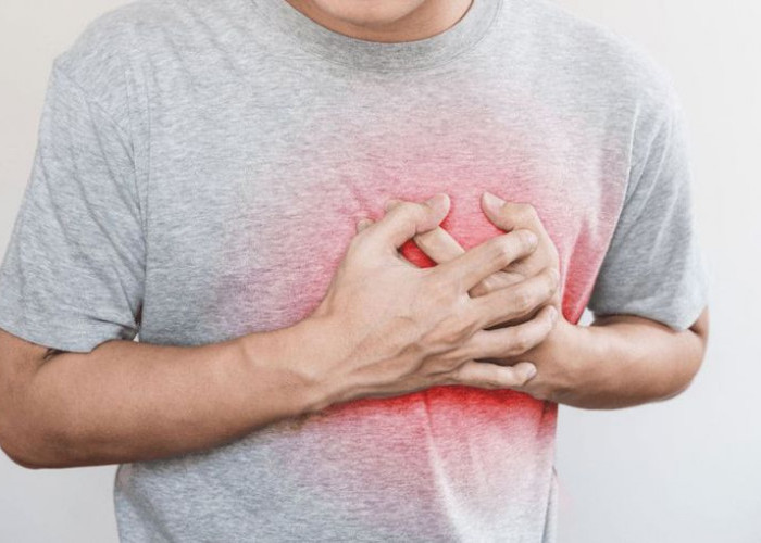 Mengapa Jantung Sering Berdebar-debar? Memahami Pemicu Medis dan Gaya Hidup