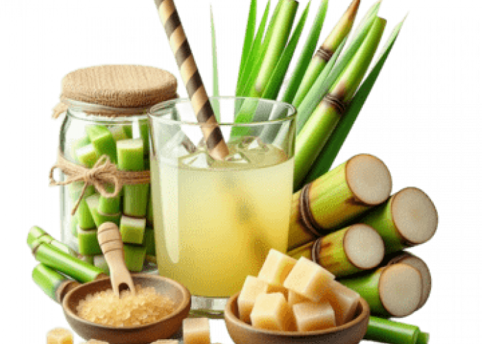 Tebu Lampung: Dari Manisnya Gula hingga Manfaat Besar bagi Ekonomi dan Lingkungan