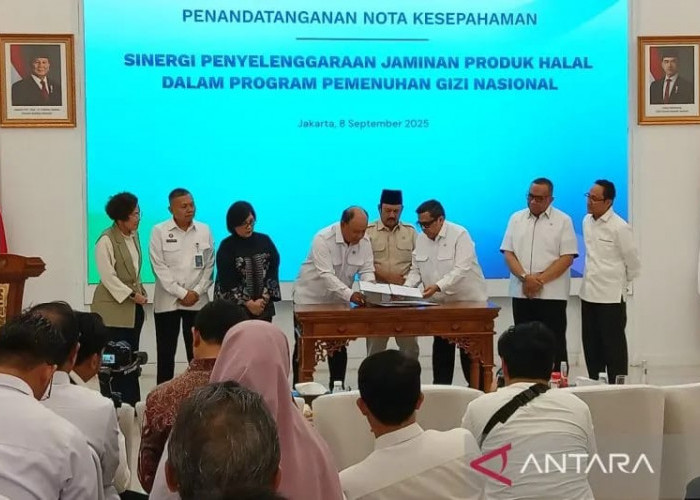 Ramai Isu Ompreng MBG Mengandung Babi, BPJPH Akan Gelar Inspeksi ke China