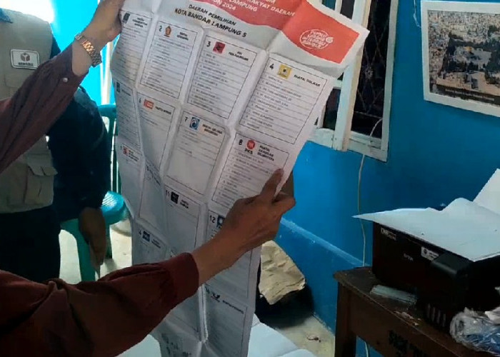 Peradi Bandar Lampung Desak Dugaan Kecurangan Pemilu di TPS 19 Way Kandis Diproses 