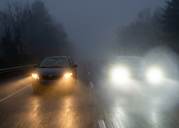 Lampu Halogen vs LED Saat Berkabut: Mana Lebih Unggul untuk Visibilitas Maksimal?