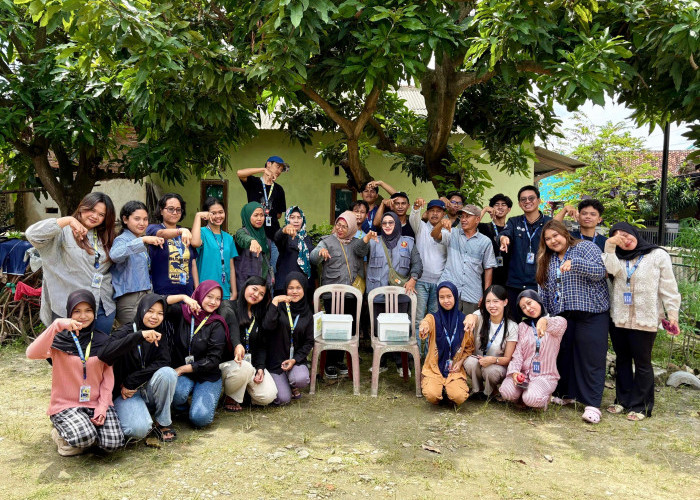 KKN Unila Dorong Budidaya Maggot sebagai Solusi Pengelolaan Sampah Organik di Kelurahan Perwata