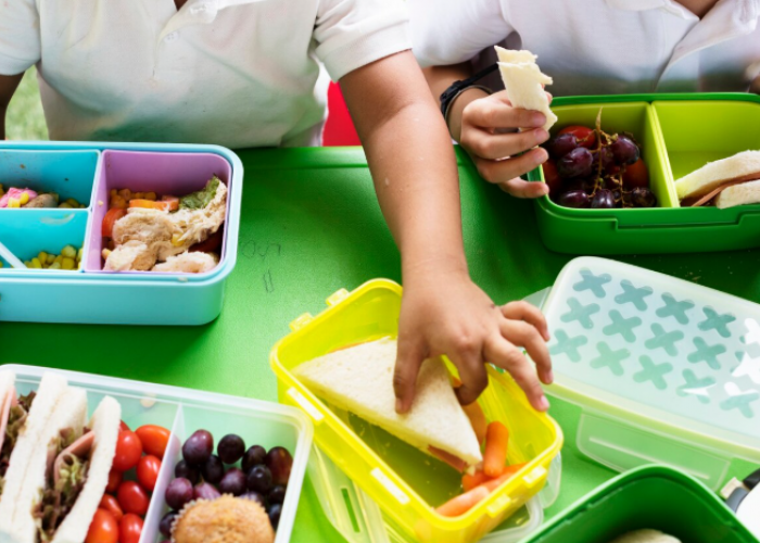 Pemprov Lampung Ajukan 49 Titik SPPG Baru untuk Mendukung Program MBG