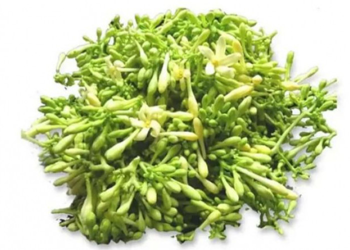 Bunga Pepaya: Si Pahit yang Kaya Manfaat untuk Kesehatan