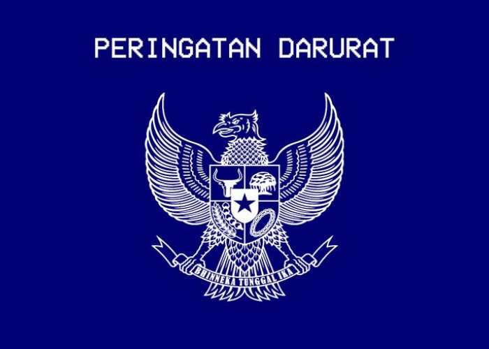 Scroll Politik, Scroll Kekecewaan Generasi Muda 