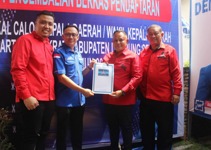 Pilkada Lampung Selatan 2024, Bupati Nanang dan Ketua DPRD Hendry Berebut Perahu Partai Demokrat