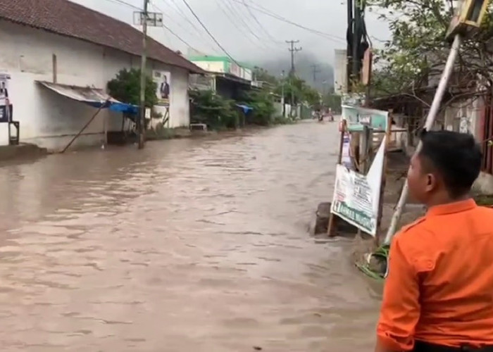 Hujan Deras dan Angin Kencang, Bandar Lampung Dikepung Banjir dan Pohon Tumbang
