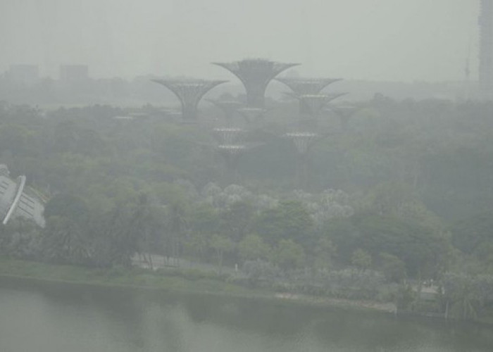 Singapura Rilis Daftar 10 Perusahaan Indonesia Diduga Pemicu Karhutla dan Kabut Asap Lintas Batas