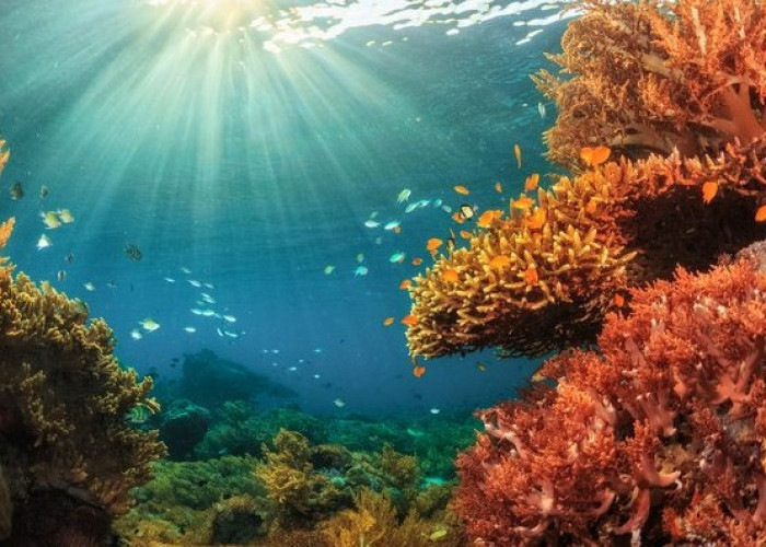 Fakta Unik yang Jarang Diketahui: Air Laut dan Rahasia Tersembunyi di Dalamnya