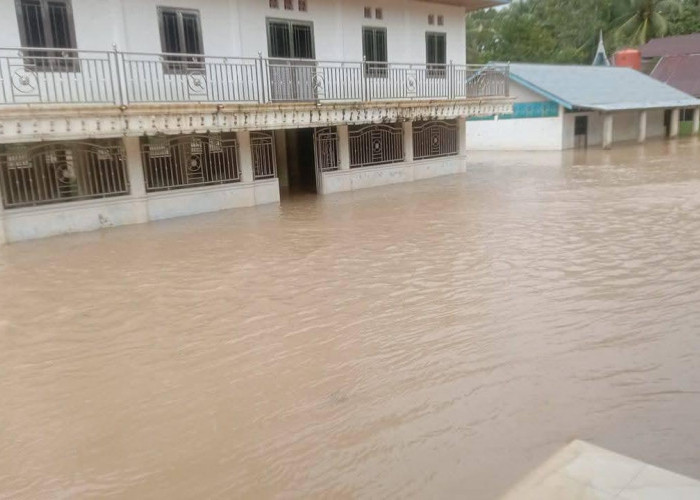Banjir Besar Rendam Kabupaten Padang Pariaman, Lebih dari 9.000 Jiwa Terdampak Hujan Deras