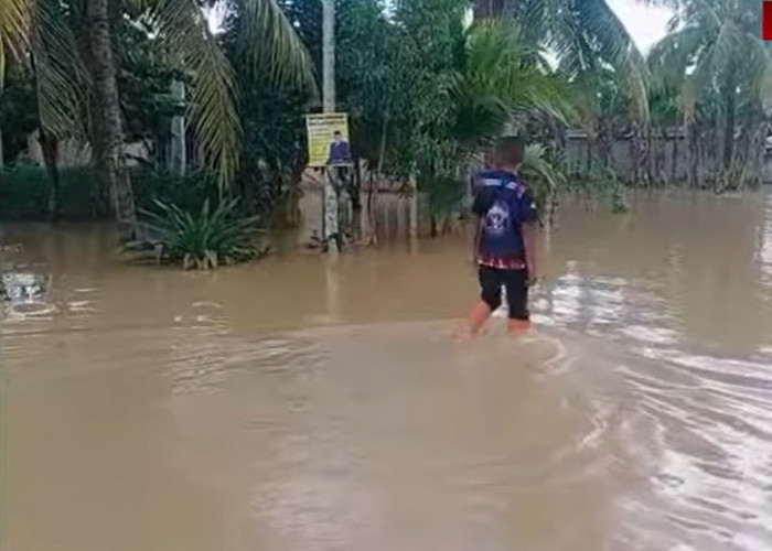 BANJIR DI LAMPUNG : Pesawaran dan Pringsewu Juga Dilanda Banjir 