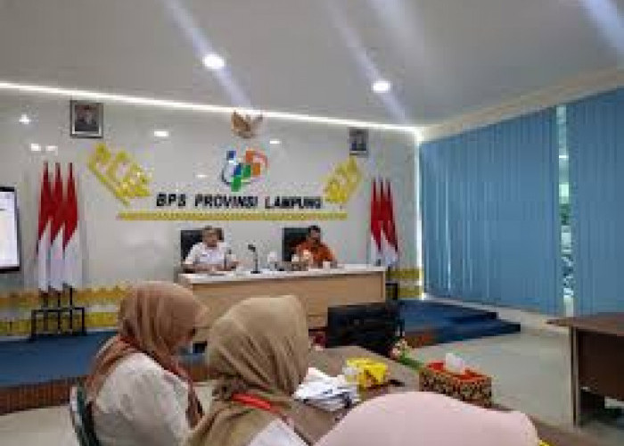 Pengangguran Lampung Turun Februari 2026, Penyerapan Tenaga Kerja Naik Meski TPAK Alami Penurunan