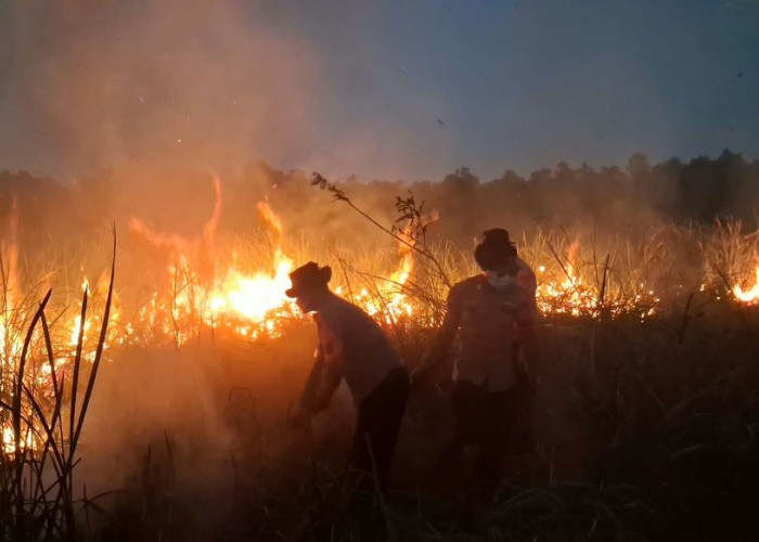 Brimob Datang, Kebakaran Karhutla TNWK Berhasil Dipadamkan