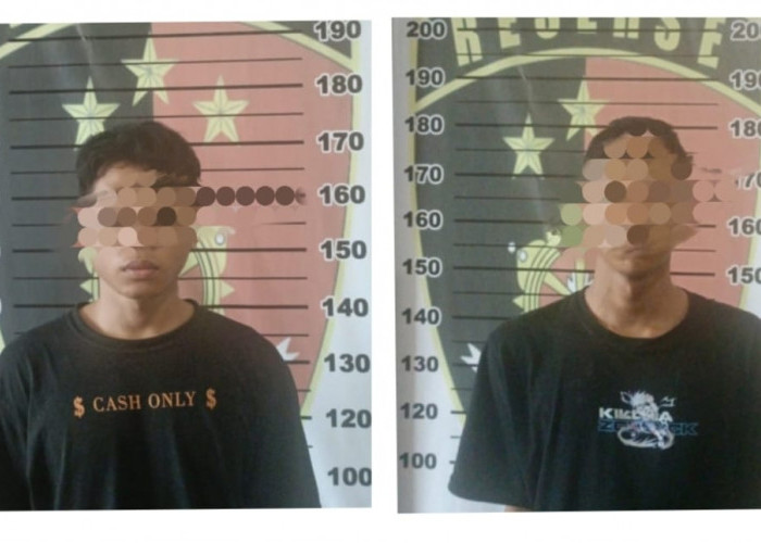 Curi Spion dan Lampu Mobil di Bengkel Bos, 2 Pemuda Asal Pringsewu Dibekuk