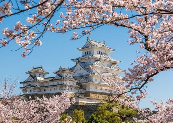 Putri Mako Tinggalkan Istana Demi Cinta, Begini Kehidupan Terbarunya 