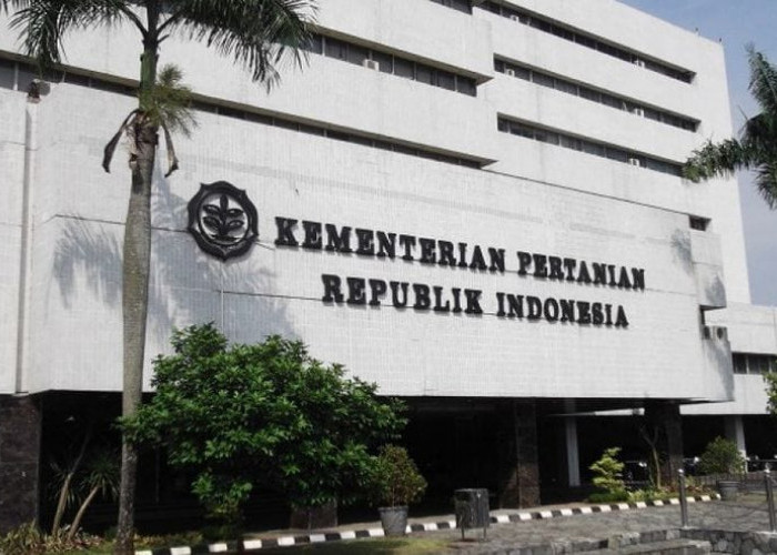 Kemarau Mulai Mengintai, Kementan Siapkan Jurus Jaga Hasil Panen