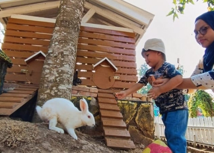 Mulai dari Gym Activity hingga Jadi Anak Gembala di  Farm Day Lampung, Wisata Edukasi Lampung