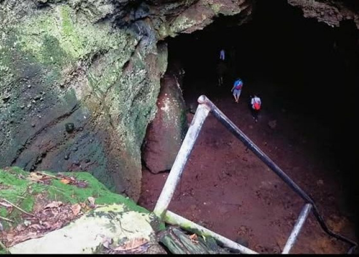 Menyusuri Goa Matu Jejak Purba Di Pesisir Barat