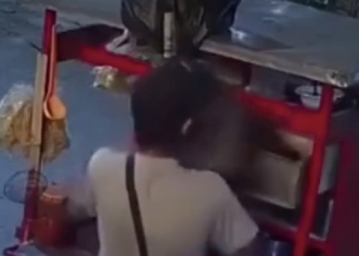 Cimi, Kucing Persia yang Diambil Pedagang Mi Ayam di Bekasi, Masih Belum Ditemukan