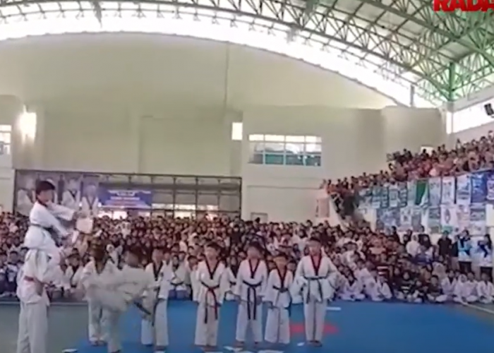 Cari Bibit Atlet Olahraga Taekwondo Daerah, Lanal Lampung Gelar Kejurda Taekwondo Danlanal Cup 5